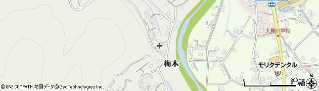 静岡県伊豆市梅木136-2周辺の地図