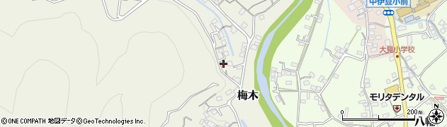 静岡県伊豆市梅木134周辺の地図