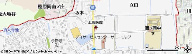 京都府向日市物集女町池ノ裏1周辺の地図