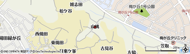 愛知県知多市新知（山桃）周辺の地図