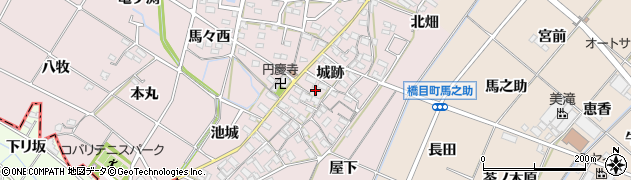 愛知県岡崎市小針町（城跡）周辺の地図