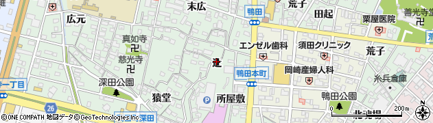 愛知県岡崎市鴨田町（辻）周辺の地図