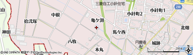 愛知県岡崎市小針町（亀ケ渕）周辺の地図