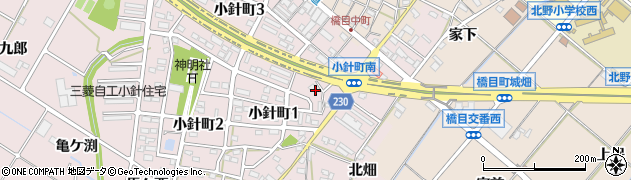 愛知県岡崎市小針町（土井畔）周辺の地図