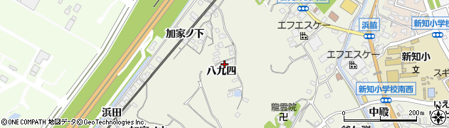 愛知県知多市新知（八九四）周辺の地図