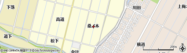 愛知県豊田市桝塚東町桑ノ木周辺の地図