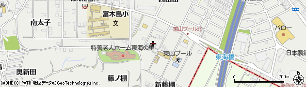 愛知県東海市富木島町新藤棚66周辺の地図