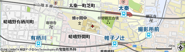 京都市立蜂ヶ岡中学校周辺の地図