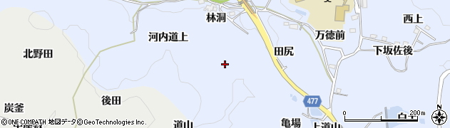 愛知県豊田市下山田代町（林洞）周辺の地図