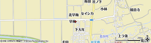 京都府亀岡市保津町（早梅）周辺の地図