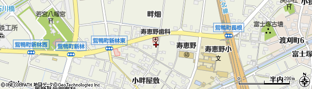 愛知県豊田市鴛鴨町畔畑周辺の地図