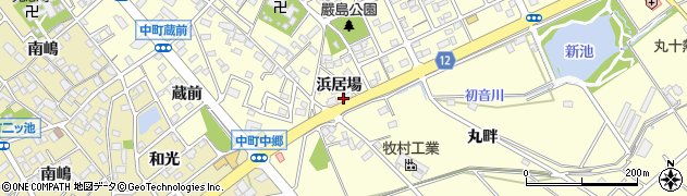 愛知県豊田市中町浜居場周辺の地図
