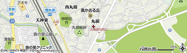 愛知県名古屋市緑区大高町丸根周辺の地図