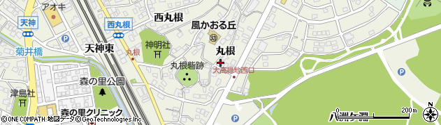 愛知県名古屋市緑区大高町（丸根）周辺の地図