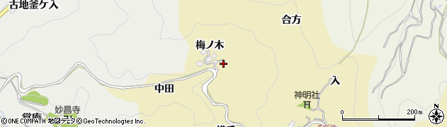 愛知県豊田市坂上町（梅ノ木）周辺の地図