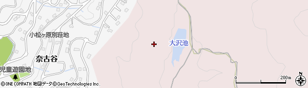大沢池周辺の地図