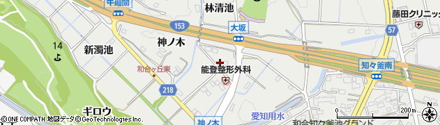 愛知県東郷町（愛知郡）和合（林清池）周辺の地図