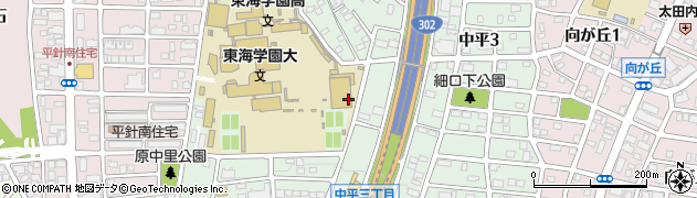 愛知県名古屋市天白区中平周辺の地図