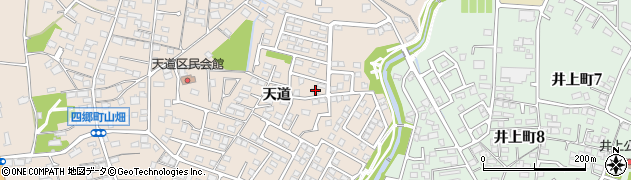 愛知県豊田市四郷町天道99周辺の地図
