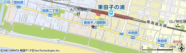 東田子の浦駅前周辺の地図