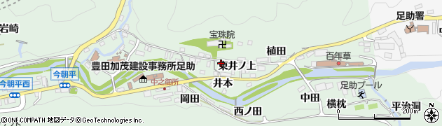 愛知県豊田市足助町東井ノ上13周辺の地図