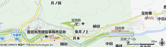 愛知県豊田市足助町東井ノ上19周辺の地図