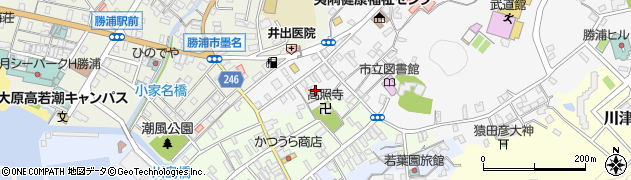 千葉県勝浦市出水1273周辺の地図