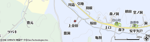 愛知県豊田市足助白山町上金田21周辺の地図