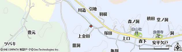 愛知県豊田市足助白山町上金田19周辺の地図