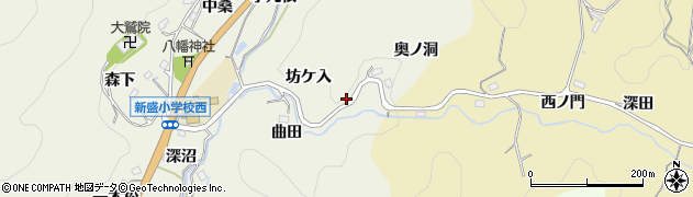 愛知県豊田市新盛町（坊ケ入）周辺の地図
