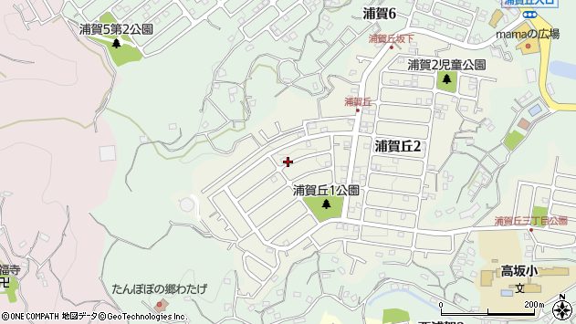 〒239-0823 神奈川県横須賀市浦賀丘の地図