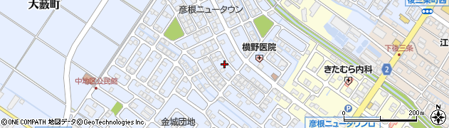滋賀県彦根市大藪町2078周辺の地図