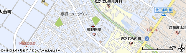 滋賀県彦根市大藪町2046周辺の地図