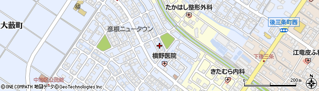 滋賀県彦根市大藪町2044周辺の地図
