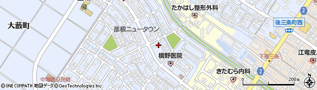 滋賀県彦根市大藪町2051周辺の地図