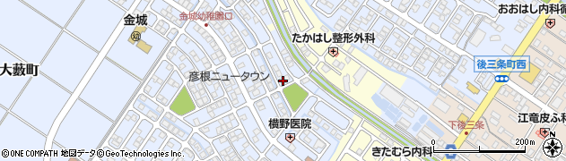 滋賀県彦根市大藪町2181周辺の地図