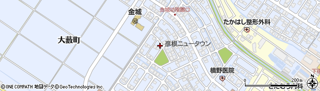滋賀県彦根市大藪町2295周辺の地図