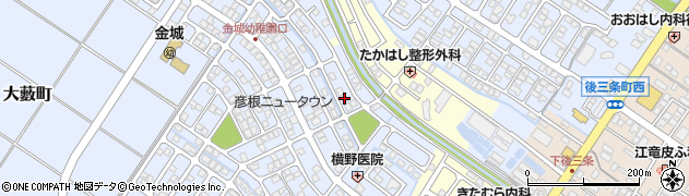 滋賀県彦根市大藪町2182周辺の地図