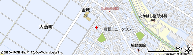 滋賀県彦根市大藪町2305周辺の地図