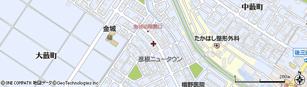 滋賀県彦根市大藪町2253周辺の地図