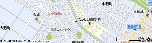 滋賀県彦根市大藪町2198周辺の地図