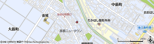 滋賀県彦根市大藪町2235周辺の地図