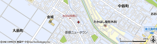 滋賀県彦根市大藪町2238周辺の地図
