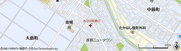 滋賀県彦根市大藪町2257周辺の地図