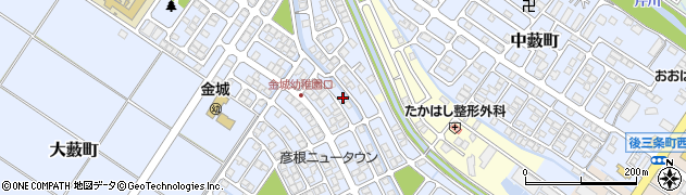 滋賀県彦根市大藪町2232周辺の地図