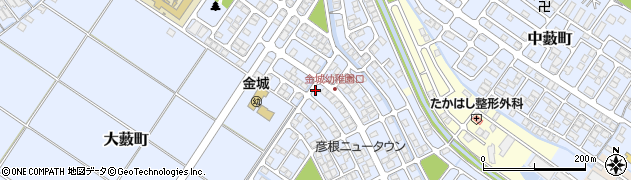 滋賀県彦根市大藪町2260周辺の地図