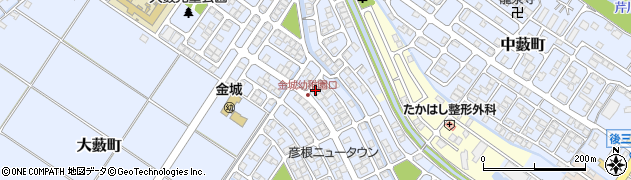 滋賀県彦根市大藪町2244周辺の地図