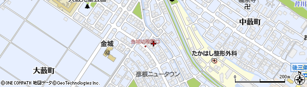 滋賀県彦根市大藪町2242周辺の地図