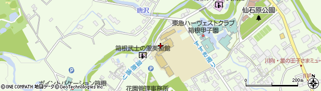 星槎箱根キャンパス周辺の地図