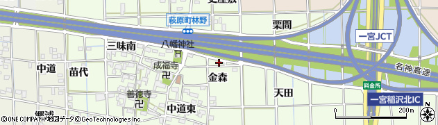 愛知県一宮市萩原町林野金森6周辺の地図